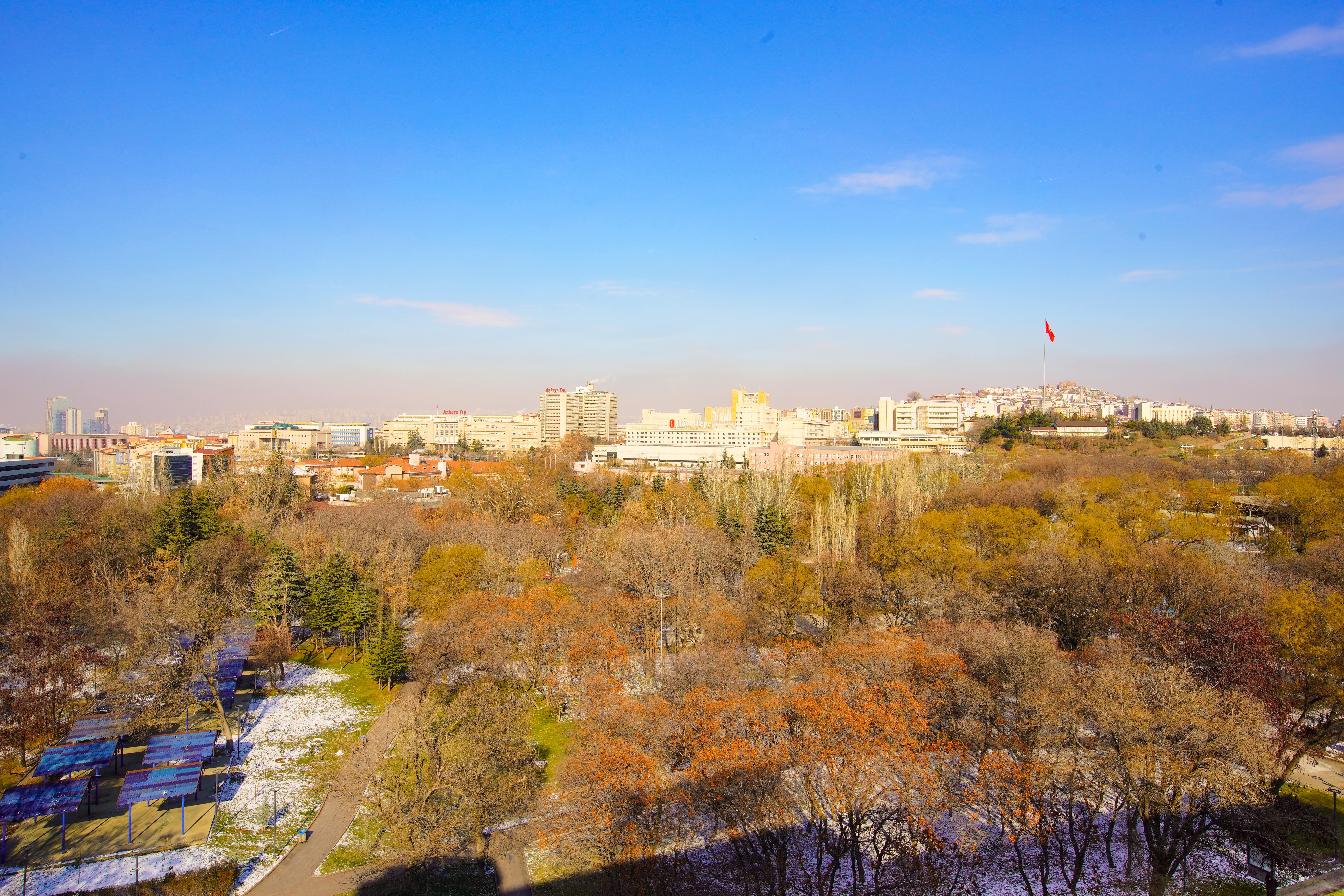 New Park Otel